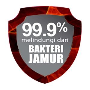  Apa  Itu  AEGIS Bagaimana Cara Kerja AEGIS Pencegah 